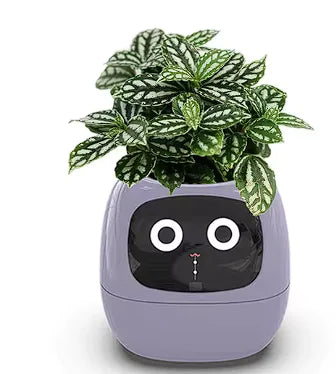 Zorvo-Smart Planter